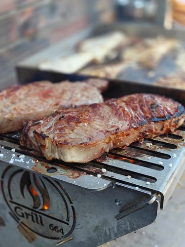 Portable barbecue grill - ,